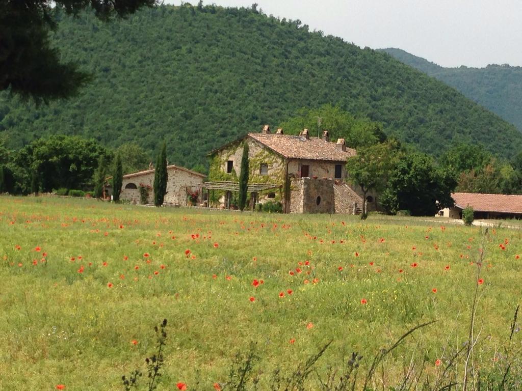 Agriturismo Cardito Santa Rufina Екстер'єр фото