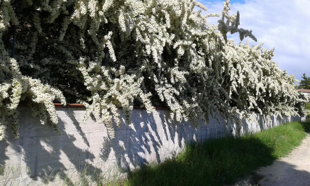 Agriturismo Cardito Santa Rufina Екстер'єр фото